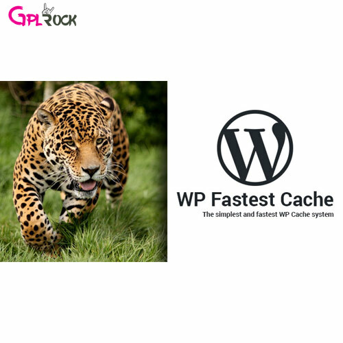 WP Fastest Cache WordPress Plugin
