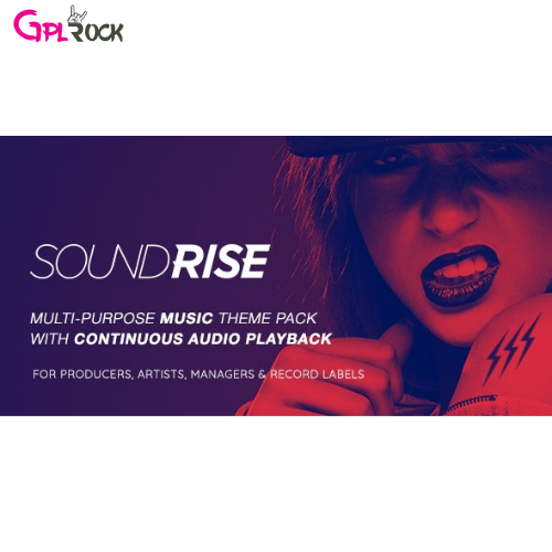 SoundRise Artists Producers and Record Labels WordPress Theme